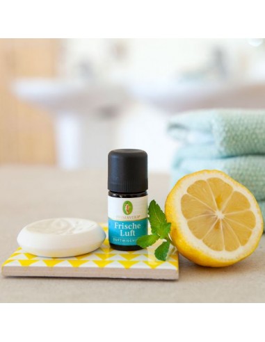 Mezcla de aceites esenciales "Ambiente puro" 5ml